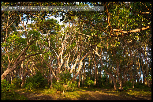 Таинственная Бухта, Mystery Bay, Мистери-Бэй, Нарума, Narooma, Новый Южный Уэльс, NSW, Австралия, Australia