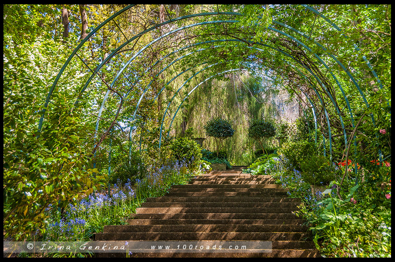 Foxglove Spires Gardens
