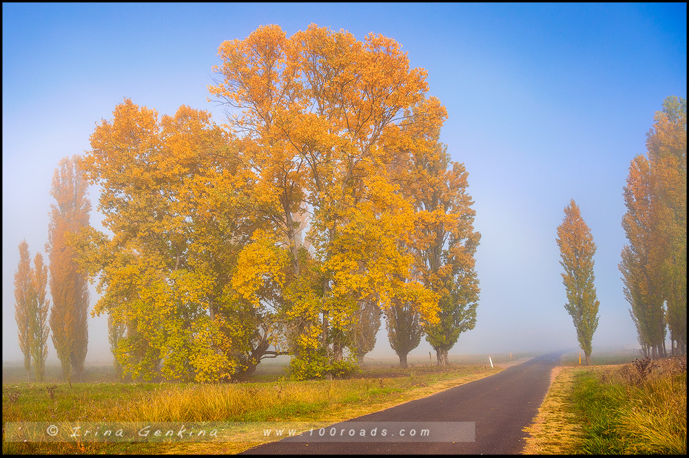 Гоствик, Gostwyck, Новая Англия, New England, Новый Южный Уэльс, New South Wales, NSW, Австралия, Australia