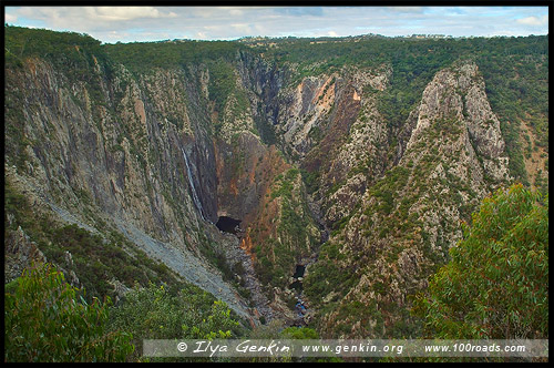 Водопад Волломомби, Wollomombi Falls, Национальный Парк Дориго, Dorrigo National Park, Новая Англия, New England, Новый Южный Уэльс, New South Wales, NSW, Австралия, Australia