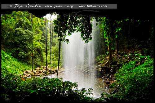 Crystal Shower Falls, Национальный Парк Дориго, Dorrigo National Park, Новая Англия, New England, Новый Южный Уэльс, New South Wales, NSW, Австралия, Australia