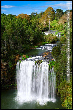 Водопад Дангар, Dangar Falls, Дорога водопадов, Waterfall Way, Новая Англия, New England, Новый Южный Уэльс, New South Wales, NSW, Австралия, Australia