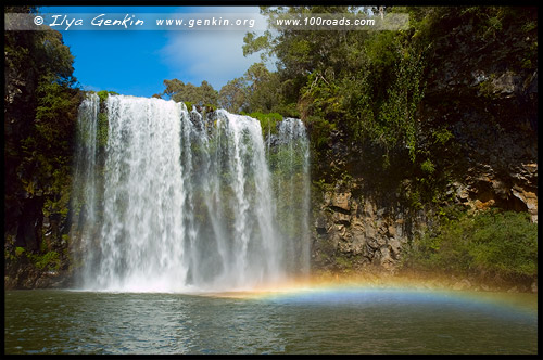 Водопад Дангар, Dangar Falls, Дорога водопадов, Waterfall Way, Новая Англия, New England, Новый Южный Уэльс, New South Wales, NSW, Австралия, Australia