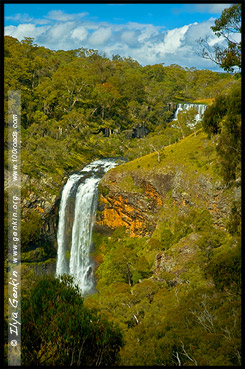 Водопады Эбор, Ebor Falls, Дорога водопадов, Waterfall Way, Новая Англия, New England, Новый Южный Уэльс, New South Wales, NSW, Австралия, Australia