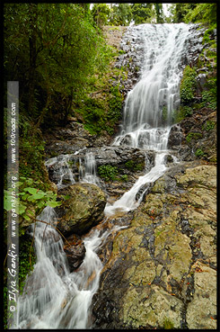 Tristania Falls, Национальный Парк Дорриго, Dorrigo National Park, Новая Англия, New England, Новый Южный Уэльс, New South Wales, NSW, Австралия, Australia