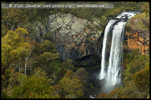 Водопад нижний Эбор, Lower Ebor Falls, Дорога водопадов, Waterfall Way, Новая Англия, New England, Новый Южный Уэльс, New South Wales, NSW, Австралия, Australia