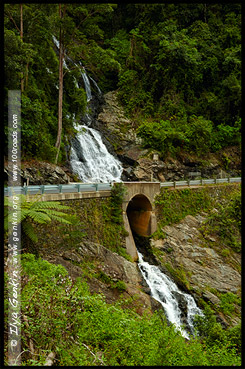 Водопад Ньюэлл, Newell Falls, Дорога водопадов, Waterfall Way, Новая Англия, New England, Новый Южный Уэльс, New South Wales, NSW, Австралия, Australia