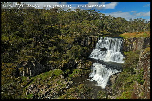 Водопад верхний Эбор, Upper Ebor Falls, Дорога водопадов, Waterfall Way, Новая Англия, New England, Новый Южный Уэльс, New South Wales, NSW, Австралия, Australia