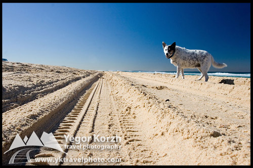 Пляж Стоктон, Stockton Beach, Анна Бей, Anna Bay, Порт Стивенс, Порт Стефенс, Port Stephens, Новый Южный Уэльс, NSW, Австралия, Australia