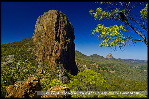 Национальный Парк Варрамбангл, Warrumbungle NP, Новый Южный Уэльс, New South Wales, NSW, Австралия, Australia