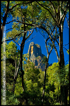 Belougery Spire, Национальный Парк Варрамбангл, Warrumbungle NP, Новый Южный Уэльс, New South Wales, NSW, Австралия, Australia