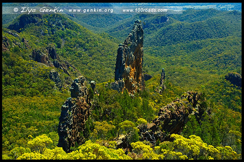 Национальный Парк Варрамбангл, Warrumbungle NP, Новый Южный Уэльс, New South Wales, NSW, Австралия, Australia