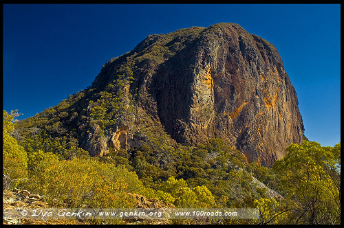Bluff Mountain, Национальный Парк Варрамбангл, Warrumbungle NP, Новый Южный Уэльс, New South Wales, NSW, Австралия, Australia