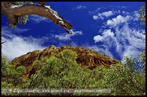 Национальный Парк Варрамбангл, Warrumbungle NP, Новый Южный Уэльс, New South Wales, NSW, Австралия, Australia