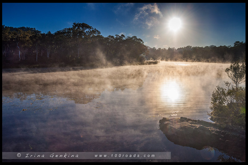 Болото Даннс, Dunns swamp, Национальный парк Воллемай, Wollemi National Park, Новый Южный Уэльс, NSW, Австралия, Australia