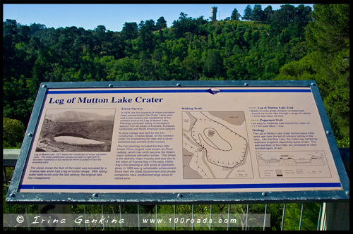 Озеро Баранья нога, Leg of Mutton Lake, Маунт Гембер, Mount Gambier, Южная Австралия, South Australia, SA, Австралия, Australia