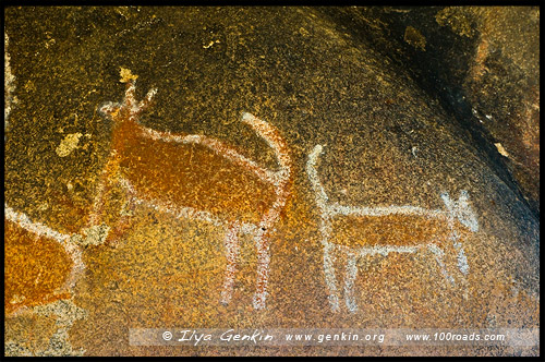 Укрытие Банджил, Bunjils Shelter, Парк Грэмпианс, Парк Грэмпианс, Grampians Natonal Park, Виктория, Victoria, VIC, Австралия, Australia