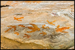 Убежище Гулгурн Манджа, Gulgurn Manja Shelter, Парк Грэмпианс, Grampians Natonal Park, Виктория, Victoria, VIC, Австралия, Australia