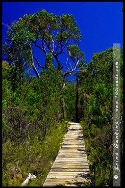 Тропа к Пещере Рук, Manja Shelter, Парк Грэмпианс, Grampians Natonal Park, Виктория, Victoria, VIC, Австралия, Australia