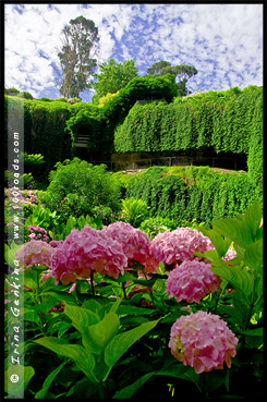 Пещерный Сад, Cave Gardens, Маунт Гембер, Mount Gambier, Южная Австралия, South Australia, SA, Австралия, Australia Пещерный Сад, Cave Gardens, Маунт Гембер, Mount Gambier, Южная Австралия, South Australia, SA, Австралия, Australia