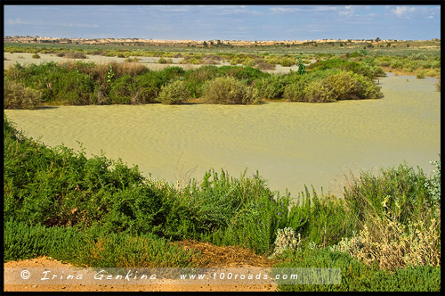 Вода на территории Национального Парка Манго, Mungo Natonal Park, Новый Южный Уэльс, New South Wales, NSW, Австралия, Australia