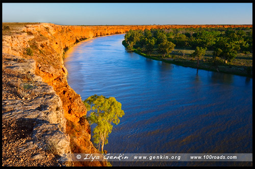 Большой изгиб Мюррея, Мюррей, Murray, Южная Австралия, South Australia, SA, Австралия, Australia