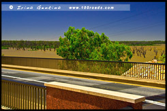 Мост Кингстон, Kingston Bridge, Кингстон на Мюррее, Kingston on the Murray, Мюррей, Murray, Южная Австралия, South Australia, SA, Австралия, Australia