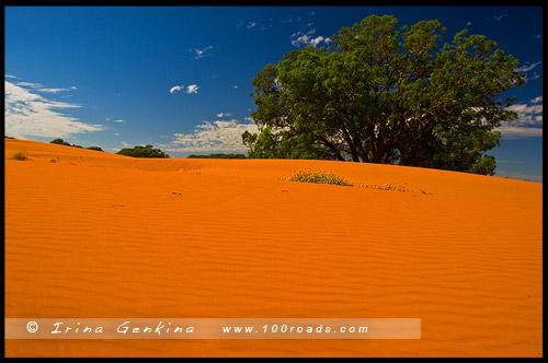 Песчанные Холмы Перри, Perry Sandhills, Вентворт, Wentworth, Новый Южный Уэльс, New South Wales, NSW, Австралия, Australia