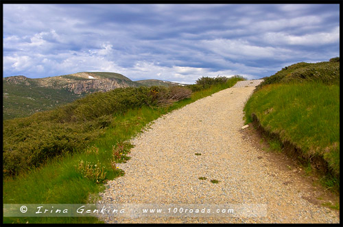 Национальный Парк Костюшко, Kosciuszko National Park, Снежные Горы, Snowy Mountains, Новый Южный Уэльс, New South Wales, NSW, Австралия, Australia