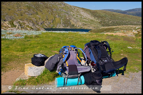 Голубое озеро, Blue Lake, Национальный Парк Костюшко, Kosciuszko National Park, Снежные Горы, Snowy Mountains, Новый Южный Уэльс, New South Wales, NSW, Австралия, Australia