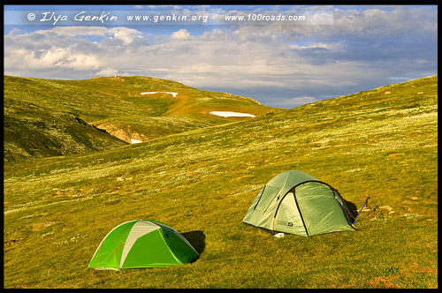 Национальный Парк Костюшко, Kosciuszko National Park, Снежные Горы, Snowy Mountains, Новый Южный Уэльс, New South Wales, NSW, Австралия, Australia