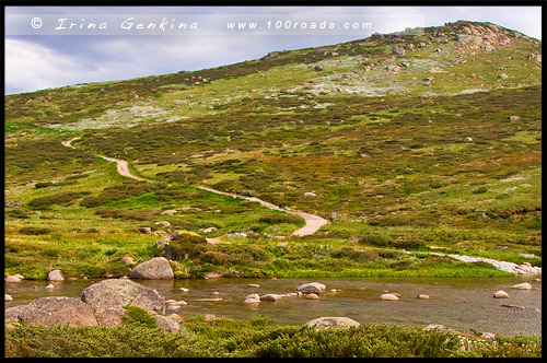 Снежная речка, Snowy River, Национальный Парк Костюшко, Kosciuszko National Park, Снежные Горы, Snowy Mountains, Новый Южный Уэльс, New South Wales, NSW, Австралия, Australia