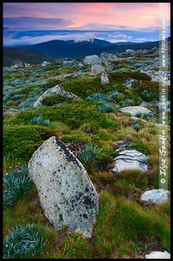 Национальный Парк Костюшко, Kosciuszko National Park, Снежные Горы, Snowy Mountains, Новый Южный Уэльс, New South Wales, NSW, Австралия, Australia