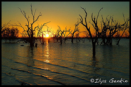Sunset at The Lake Pamamaroo, Kinchega National Park, NSW, Australia