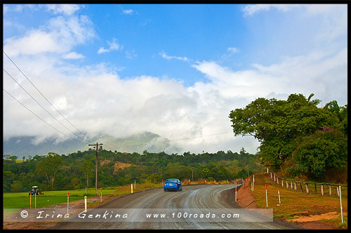 Плато Атертон, Atherton Tableland, Queensland, Квинсленд, QLD, Австралия, Australia