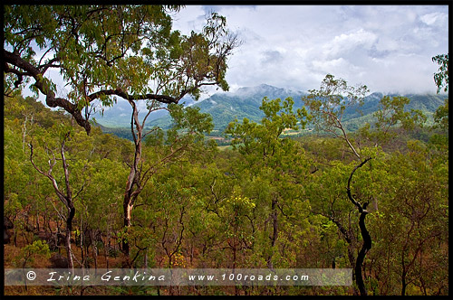 Плато Атертон, Atherton Tableland, Queensland, Квинсленд, QLD, Австралия, Australia