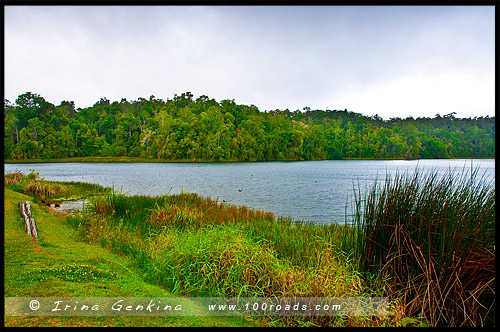 Озеро Баррин, Lake Barrine, Плато Атертон, Atherton Tableland, Queensland, Квинсленд, QLD, Австралия, Australia