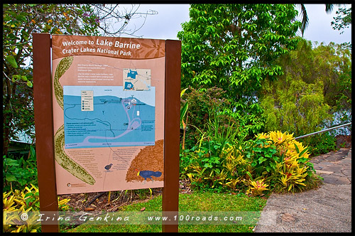 Озеро Баррин, Lake Barrine, Плато Атертон, Atherton Tableland, Queensland, Квинсленд, QLD, Австралия, Australia