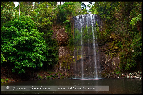 Плато Атертон, Atherton Tableland, Queensland, Квинсленд, QLD, Австралия, Australia