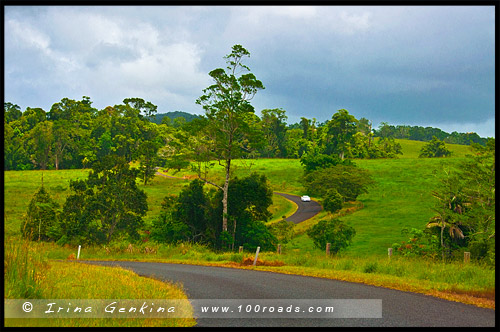 Плато Атертон, Atherton Tableland, Queensland, Квинсленд, QLD, Австралия, Australia