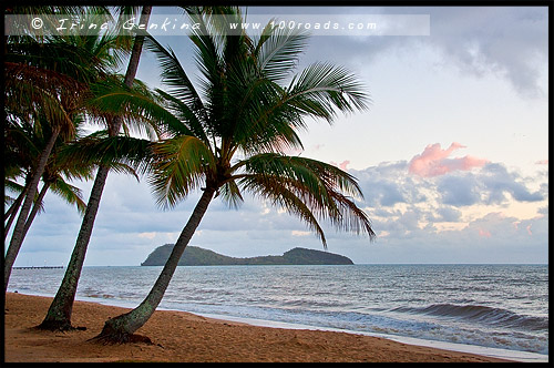 Пальмовая Бухта, Палм Ков, Palm Cove, Queensland, Квинсленд, QLD, Австралия, Australia