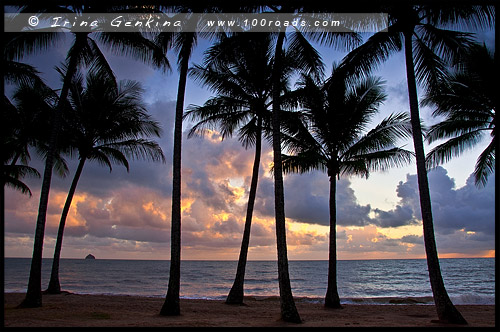 Пальмовая Бухта, Палм Ков, Palm Cove, Queensland, Квинсленд, QLD, Австралия, Australia