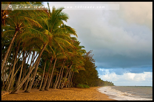 Пальмовая Бухта, Палм Ков, Palm Cove, Queensland, Квинсленд, QLD, Австралия, Australia