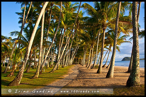 Пальмовая Бухта, Палм Ков, Palm Cove, Queensland, Квинсленд, QLD, Австралия, Australia