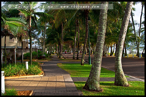 Пальмовая Бухта, Палм Ков, Palm Cove, Queensland, Квинсленд, QLD, Австралия, Australia