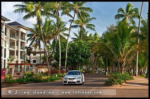 Пальмовая Бухта, Палм Ков, Palm Cove, Queensland, Квинсленд, QLD, Австралия, Australia