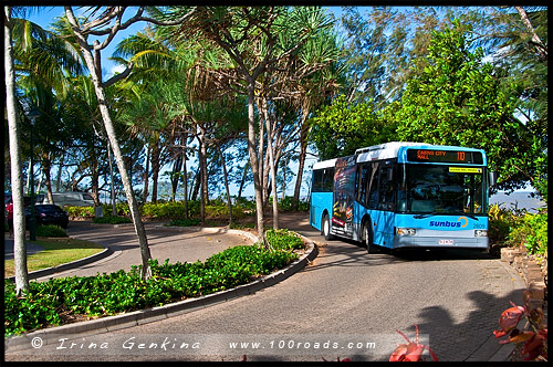 Пальмовая Бухта, Палм Ков, Palm Cove, Queensland, Квинсленд, QLD, Австралия, Australia