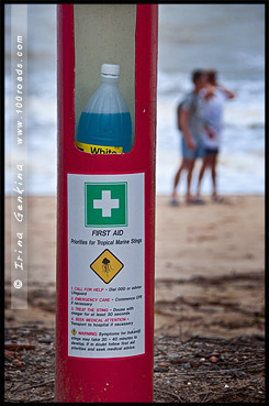 Пальмовая Бухта, Палм Ков, Palm Cove, Queensland, Квинсленд, QLD, Австралия, Australia