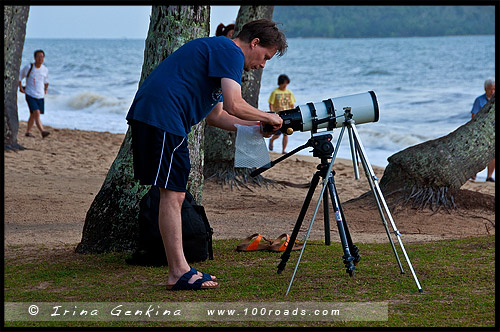 Пальмовая Бухта, Палм Ков, Palm Cove, Queensland, Квинсленд, QLD, Австралия, Australia