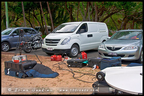 Пальмовая Бухта, Палм Ков, Palm Cove, Queensland, Квинсленд, QLD, Австралия, Australia